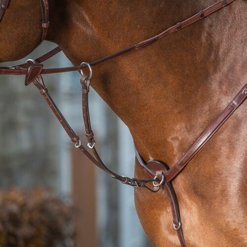Dyon Kort Martingal New English Collection