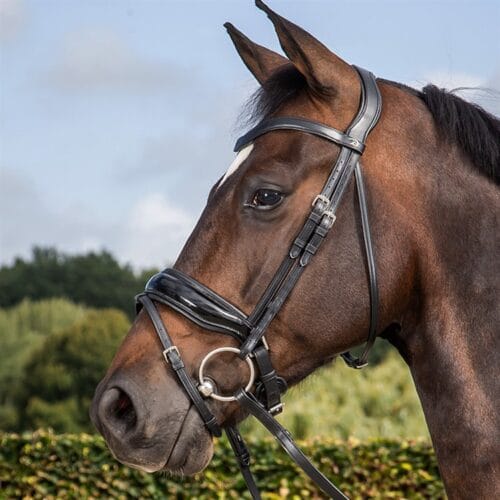Dyon Dressyrträns Lackad Pullback Dressage Collection - Bild 2
