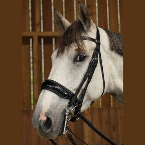 Alternative view of Dyon Kandarträns Bred Lackad Nosgrimma Working Collection