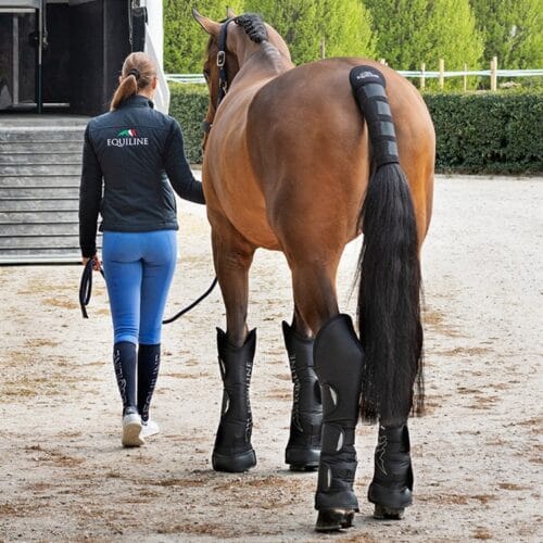 Equiline Rex Transportskydd 4-pack - Bild 2
