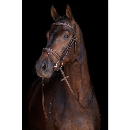 HKM Jana Träns med mönstersöm med tyglar