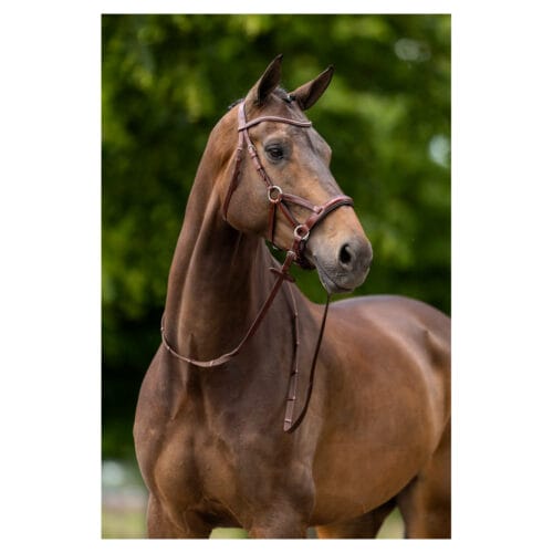 Alternative view of BR Bettlöst Träns Sidepull Lewes