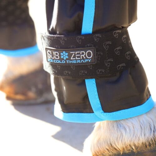 Shires Arma Subzero Kylbandage Kylskydd | VbridSport