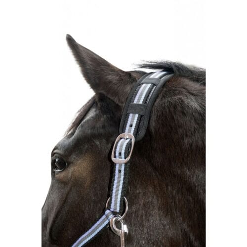 Nackskydd häst Mr. Feel Warm | VbridSport