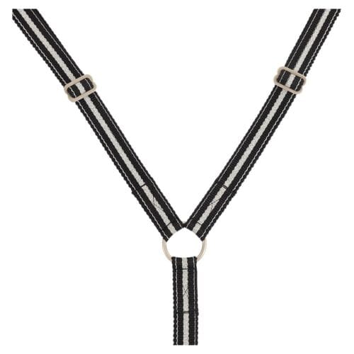 Alternative view of BR Reflexbrösta