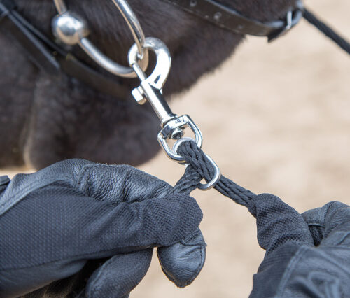 Alternative view of Mjuk longeringshjälp Shires