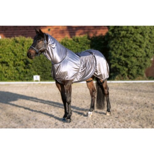 Alternative view of HKM Eksemtäcke Security