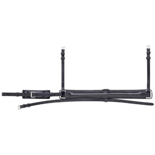 Equiline Nosgrimma bred och konvex