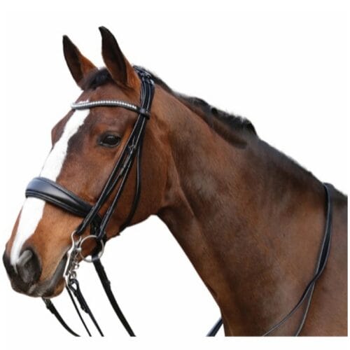 HorseGuard Ergo Kandarträns med tyglar