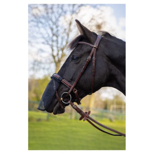 Alternative view of BR Nosnät