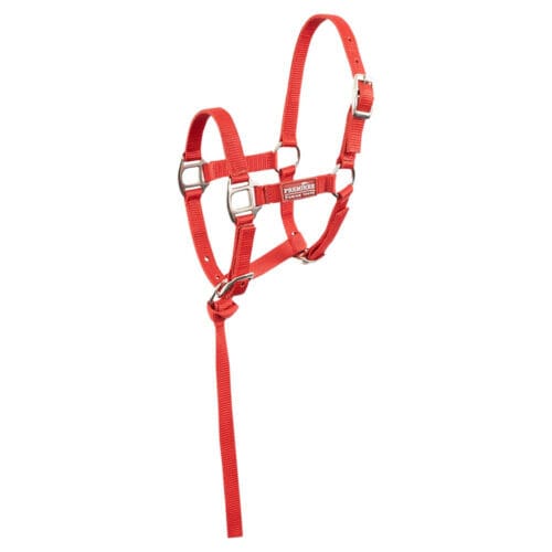 Alternative view of Premiere Fölgrimma Brisk