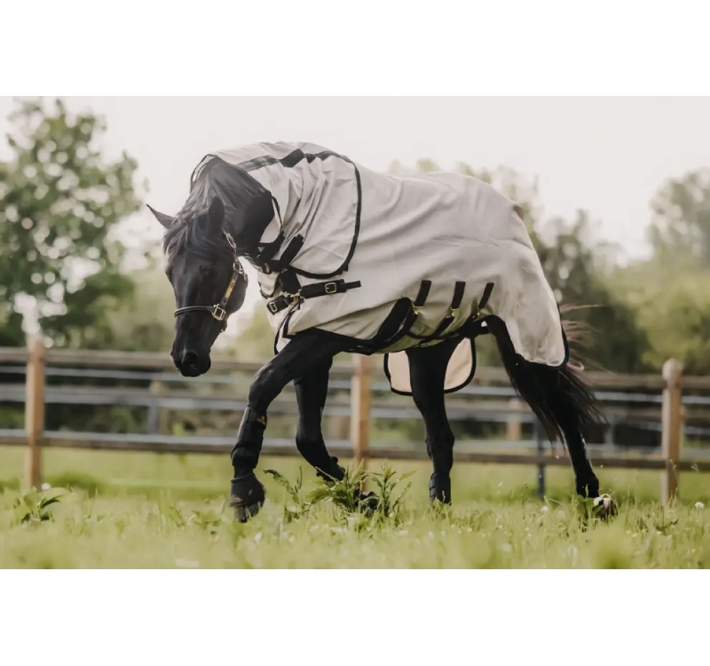 Kentucky Mesh Fly Rug Flugtäcke - Bild 2