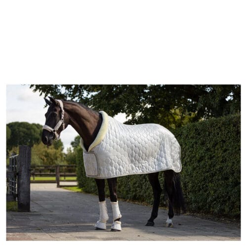 BR Show Rug Zamora Stalltäcke | VbridSport