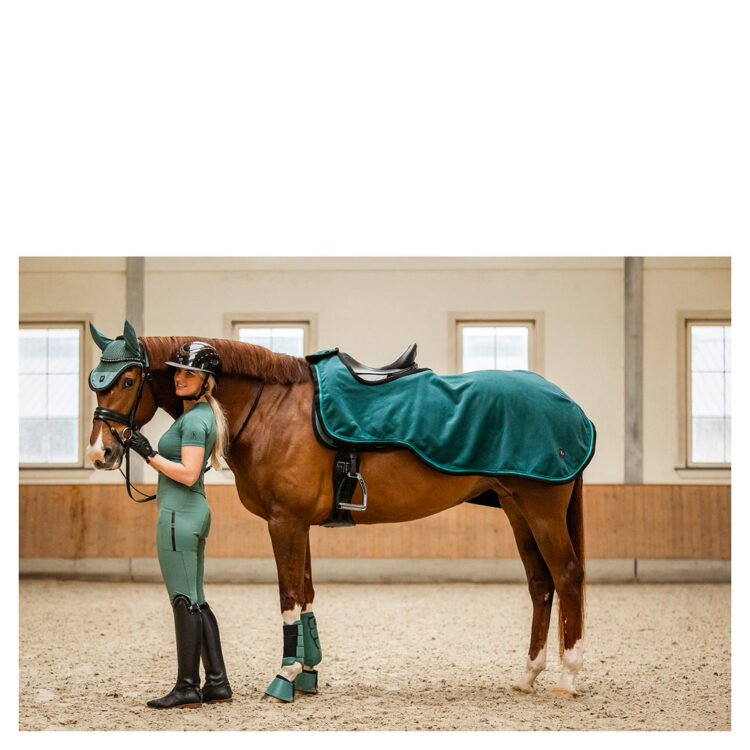 Alternative view of BR CLX Ridtäcke