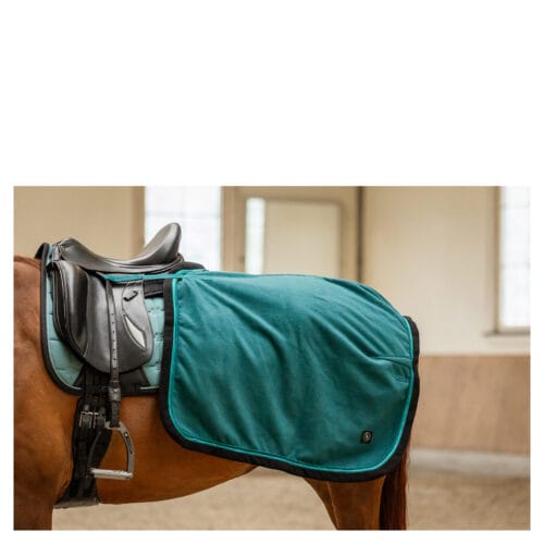 Alternative view of BR CLX Ländtäcke