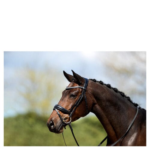 ANKY Träns Anatomiskt Svart/Svart | VbridSport