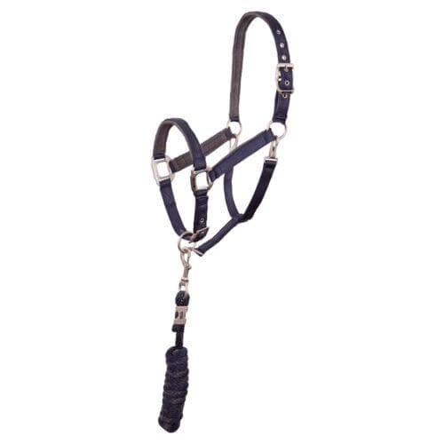 ANKY Grimma och Grimskaft