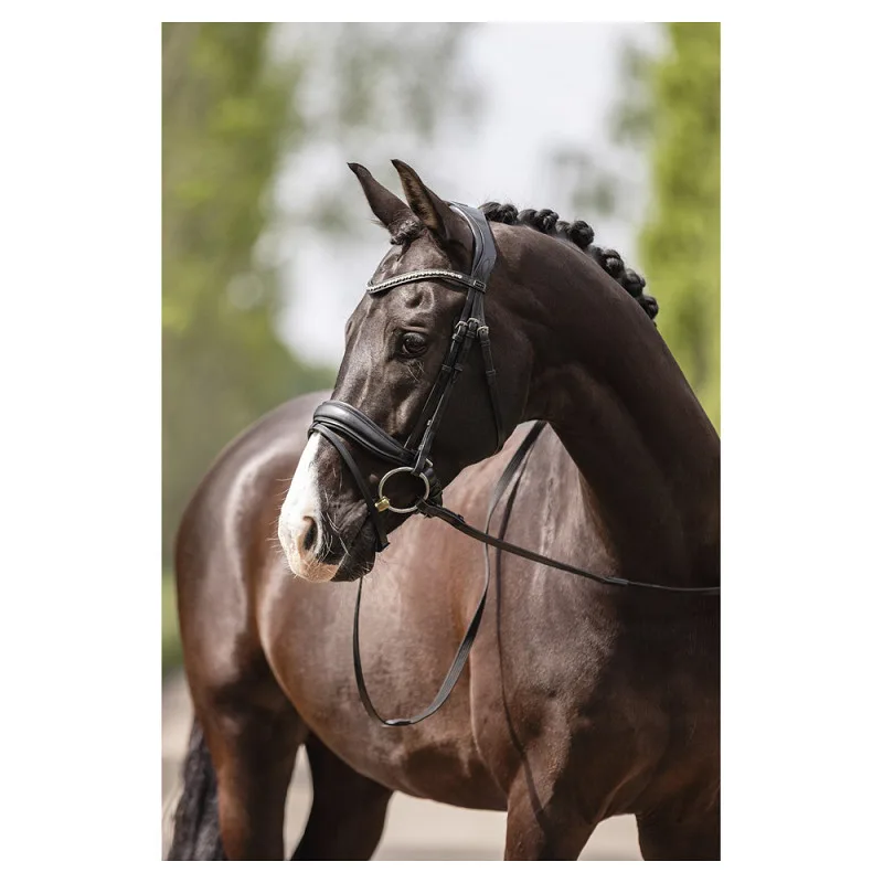 ANKY Dressyrträns - Full - Bild 2