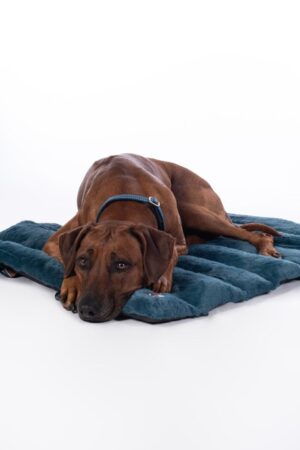 Alternative view of Hundfilt – Anam Cara Travel