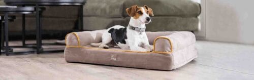 Hundsoffa Anam Cara Anam Cara | VbridSport