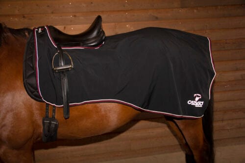 Alternative view of CATAGO Ridtäcke