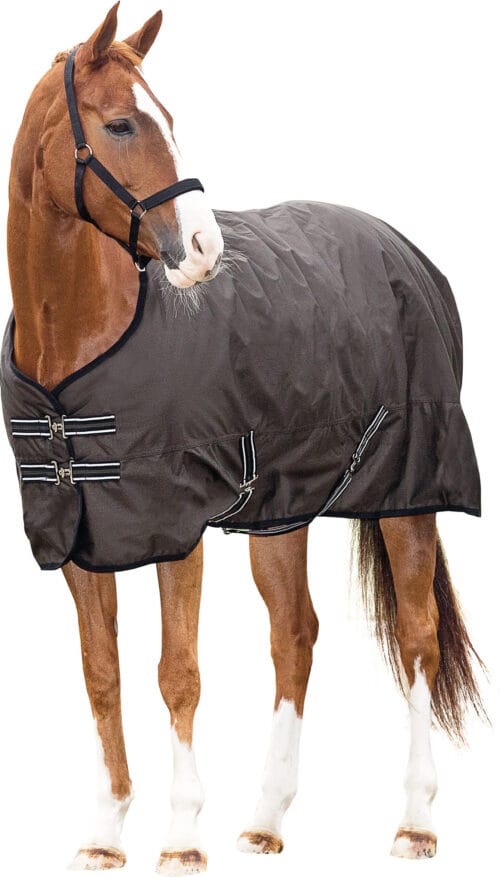 HorseGuard utetäcke 600D 0g HorseGuard utetäcke 600D 0g | VbridSport