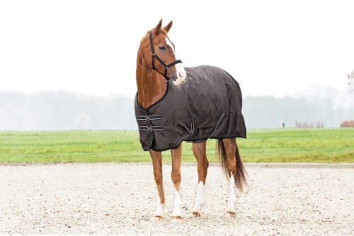 HorseGuard utetäcke 600D 0g HorseGuard utetäcke 600D 0g | VbridSport