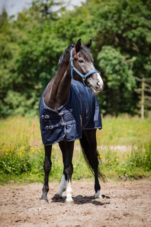 HorseGuard Landon 1200D täcke med standardhals, 0 g fyllning HorseGuard Landon | VbridSport