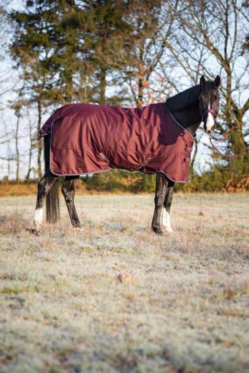 HorseGuard Landon 1200D utetäcke 100g HorseGuard Landon | VbridSport