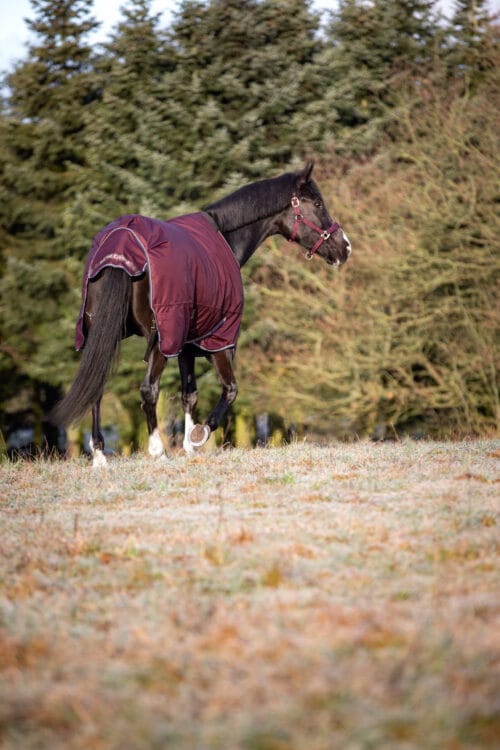 HorseGuard Landon 1200D utetäcke 100g HorseGuard Landon | VbridSport