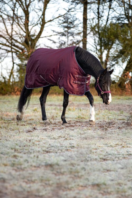 HorseGuard Landon 1200D utetäcke 100g HorseGuard Landon | VbridSport