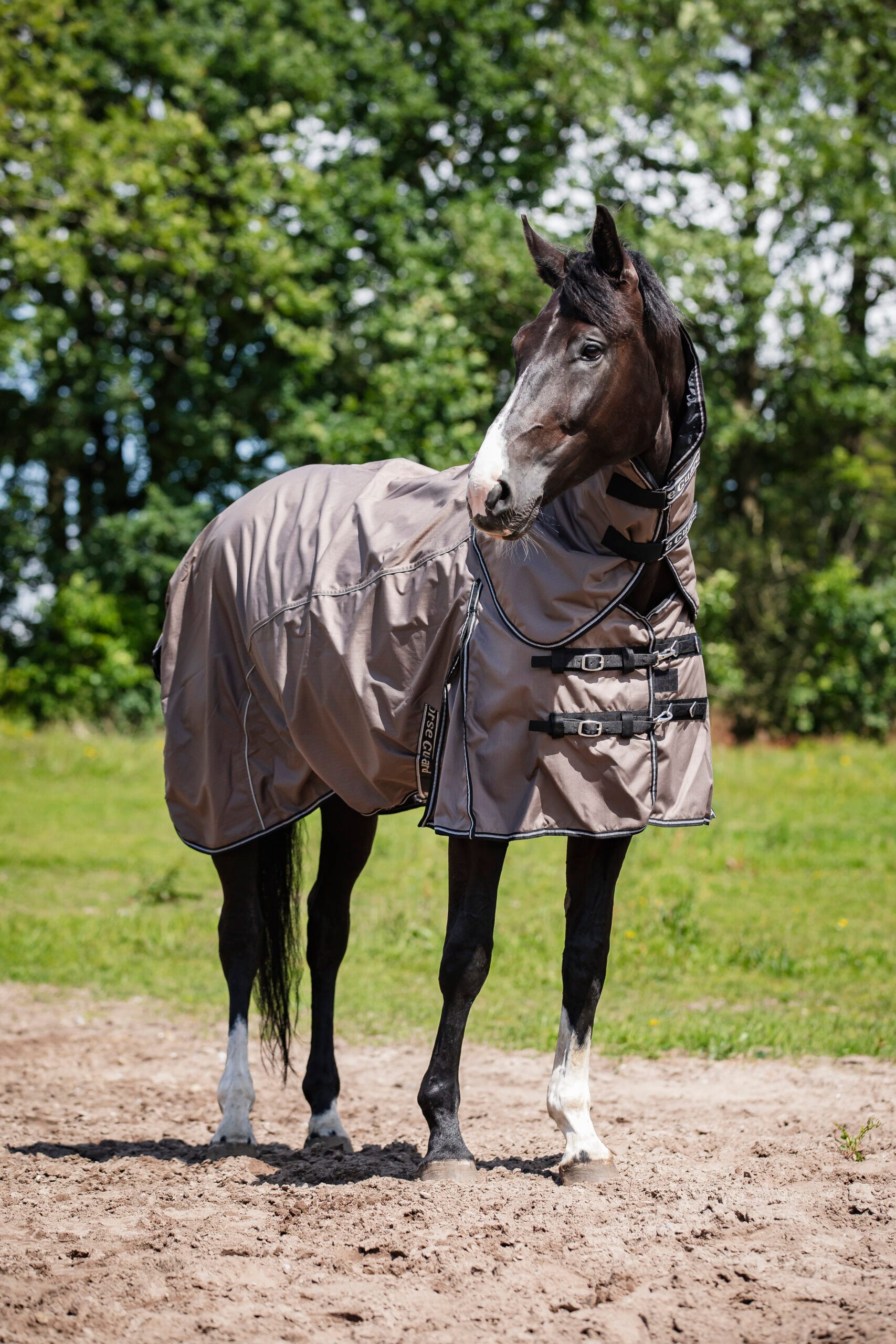 HorseGuard Adapting standardtäcke, 600D, 0 gram fyllning - Brun - 165 cm