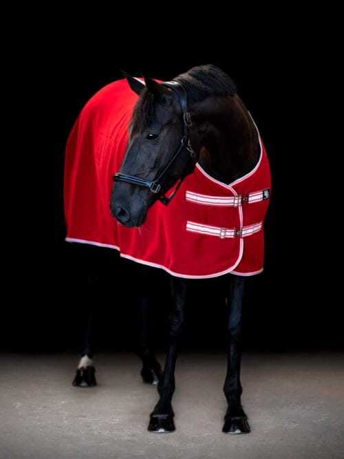 Alternative view of HorseGuard Award Fleecetäcke tävling