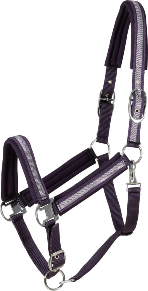 Alternative view of CATAGO Nate Grimma