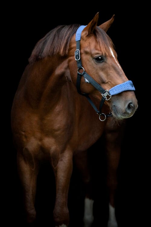 CATAGO FIR-Tech Grand grimma