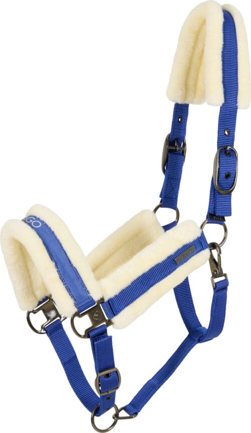 CATAGO Trace Grimma CATAGO Trace | VbridSport