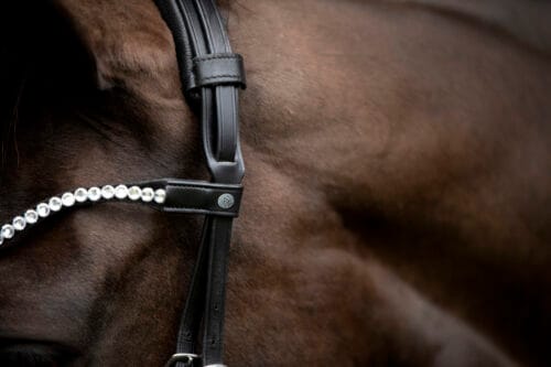 CATAGO Gentle nackstycke med vaddering CATAGO Gentle nackstycke | VbridSport