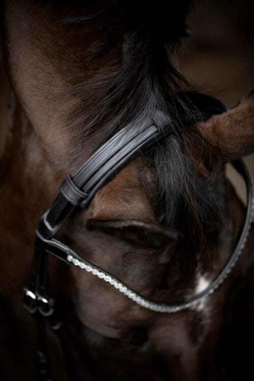 CATAGO Gentle nackstycke med vaddering CATAGO Gentle nackstycke | VbridSport