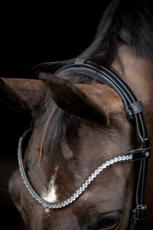 CATAGO Gentle nackstycke med vaddering CATAGO Gentle nackstycke | VbridSport