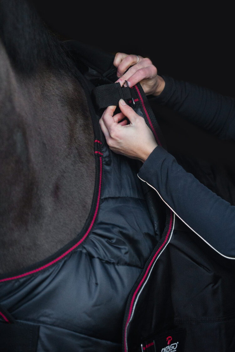 Alternative view of CATAGO Dual Pro 2 i ett täcke / yttertäcke 100g + innertäcke 100g - islandshäst