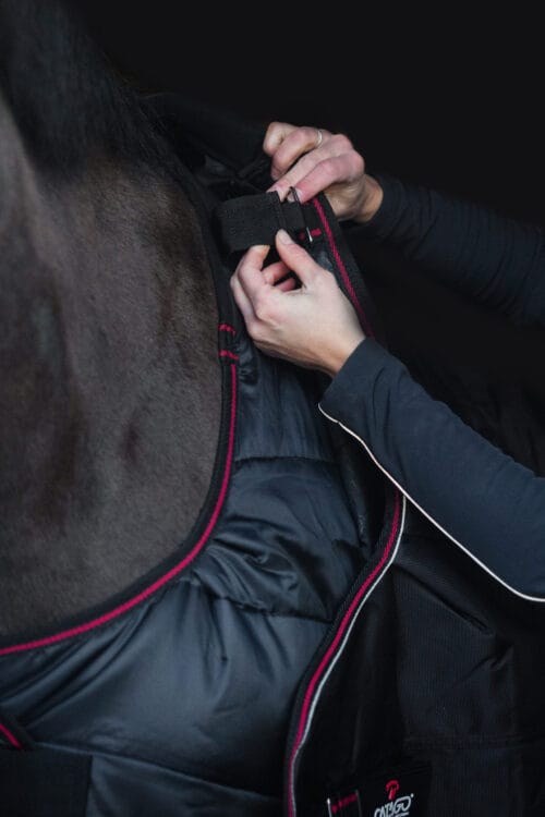 Alternative view of CATAGO Dual Pro 2 i ett täcke / yttertäcke 100g + innertäcke 100g - islandshäst