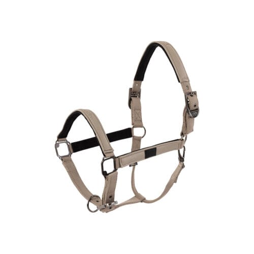 BR Grimma Jade Grimma | VbridSport