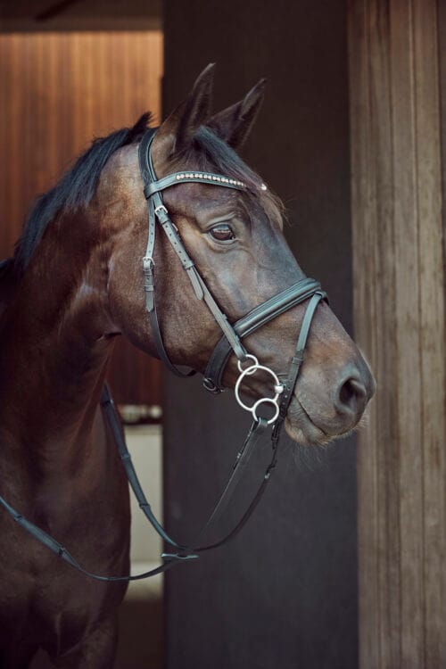 Alternative view of HorseGuard Universal Curve tredelat bett