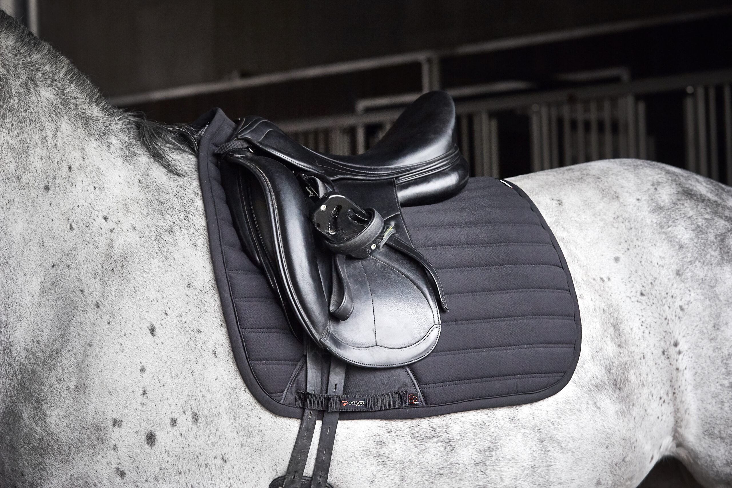 CATAGO Hybrid Schabrak - dressyr - Bild 3