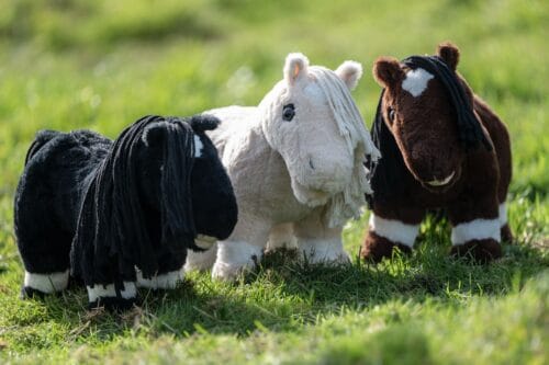 Alternative view of HKM Cuddle Pony