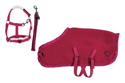 HKM Cuddle Pony Starter Set Cuddle Pony | VbridSport