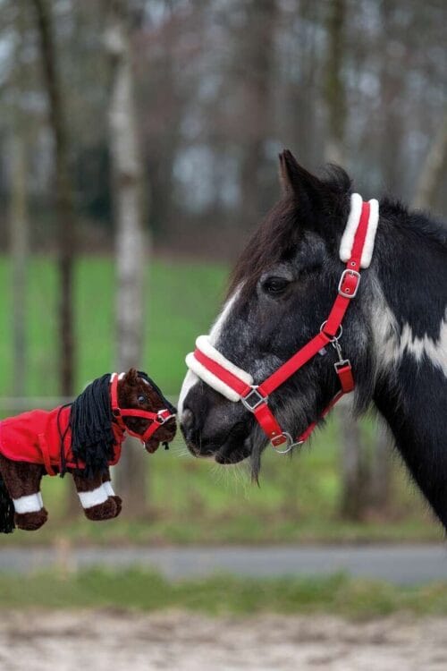HKM Cuddle Pony Starter Set Cuddle Pony | VbridSport