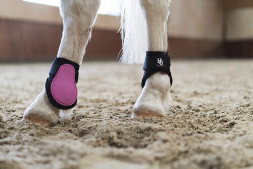 Alternative view of HorseGuard Tary Kotskydd