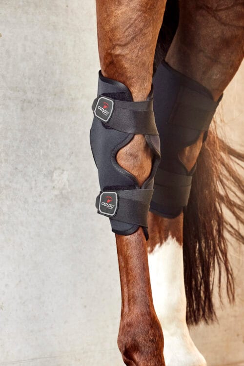 CATAGO FIR-TECH Haskydd CATAGO FIR-TECH Haskydd | VbridSport