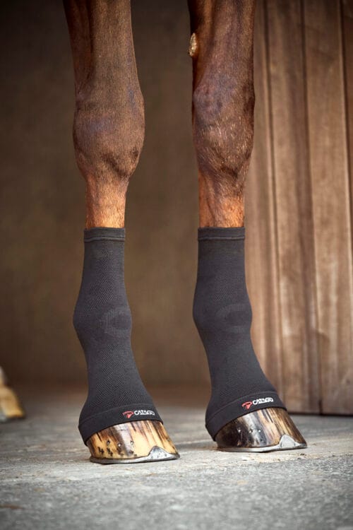 CATAGO FIR-Tech fetlock socks kompressionsstrumpor CATAGO FIR-Tech fetlock socks kompressionsstrumpor | VbridSport